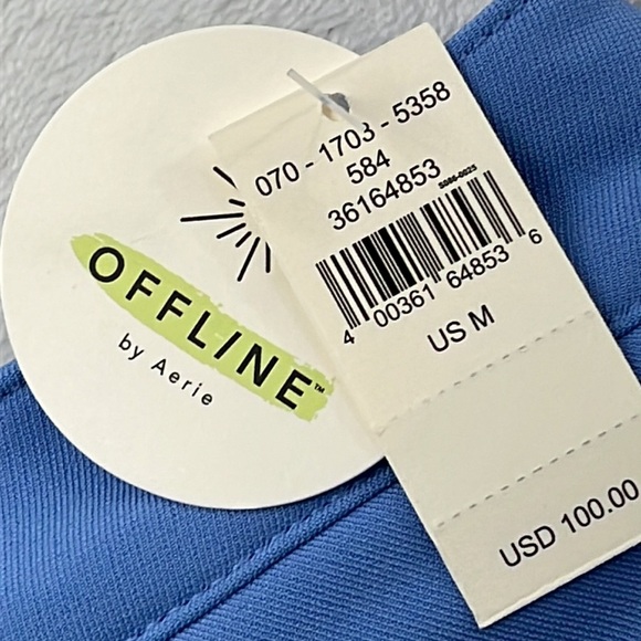 NEW Offline by Aerie M Snow Pants Blue Chillside Collection - Picture 7 of 14